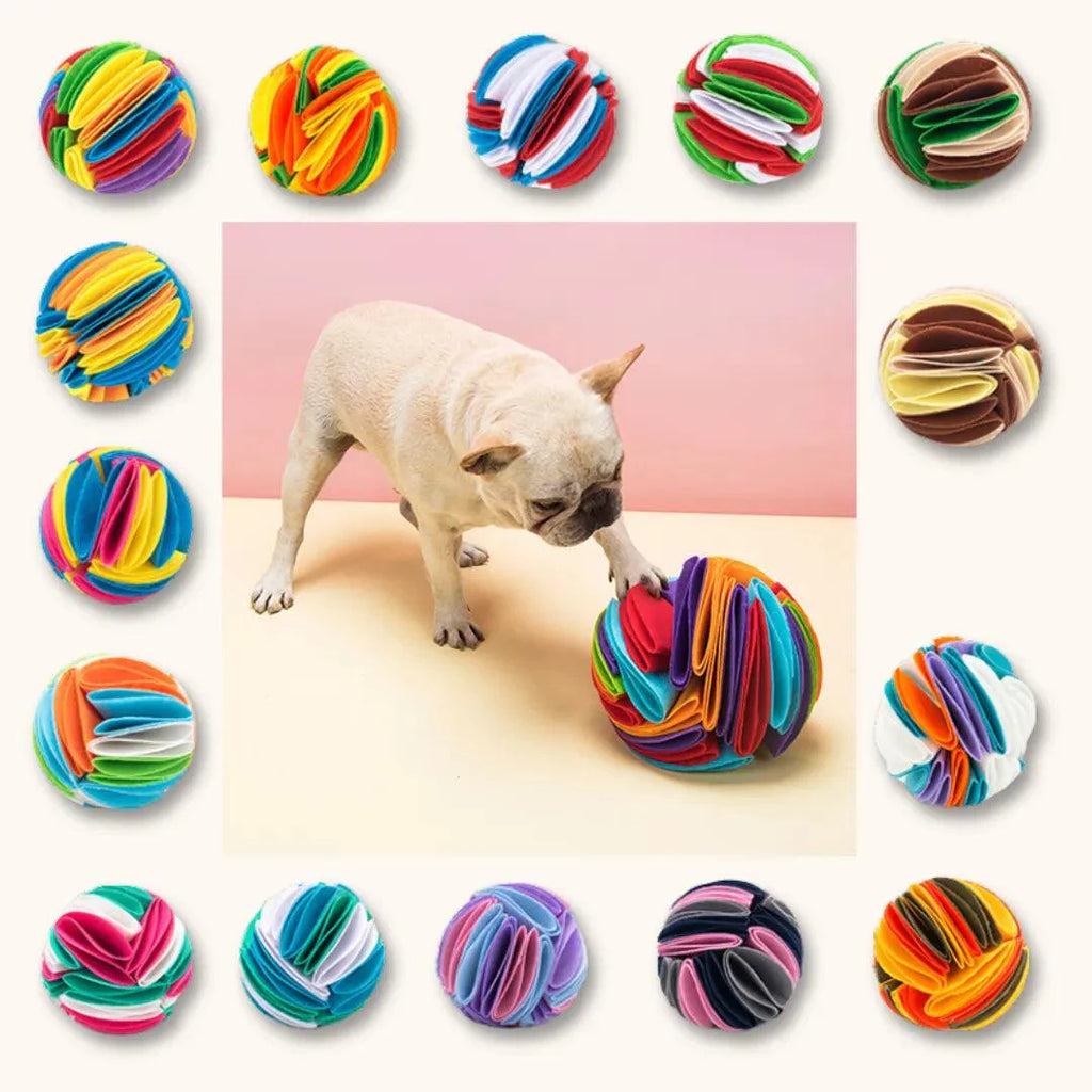 Balle de Fouille - SniffBall : Stimule l'Instinct de Recherche