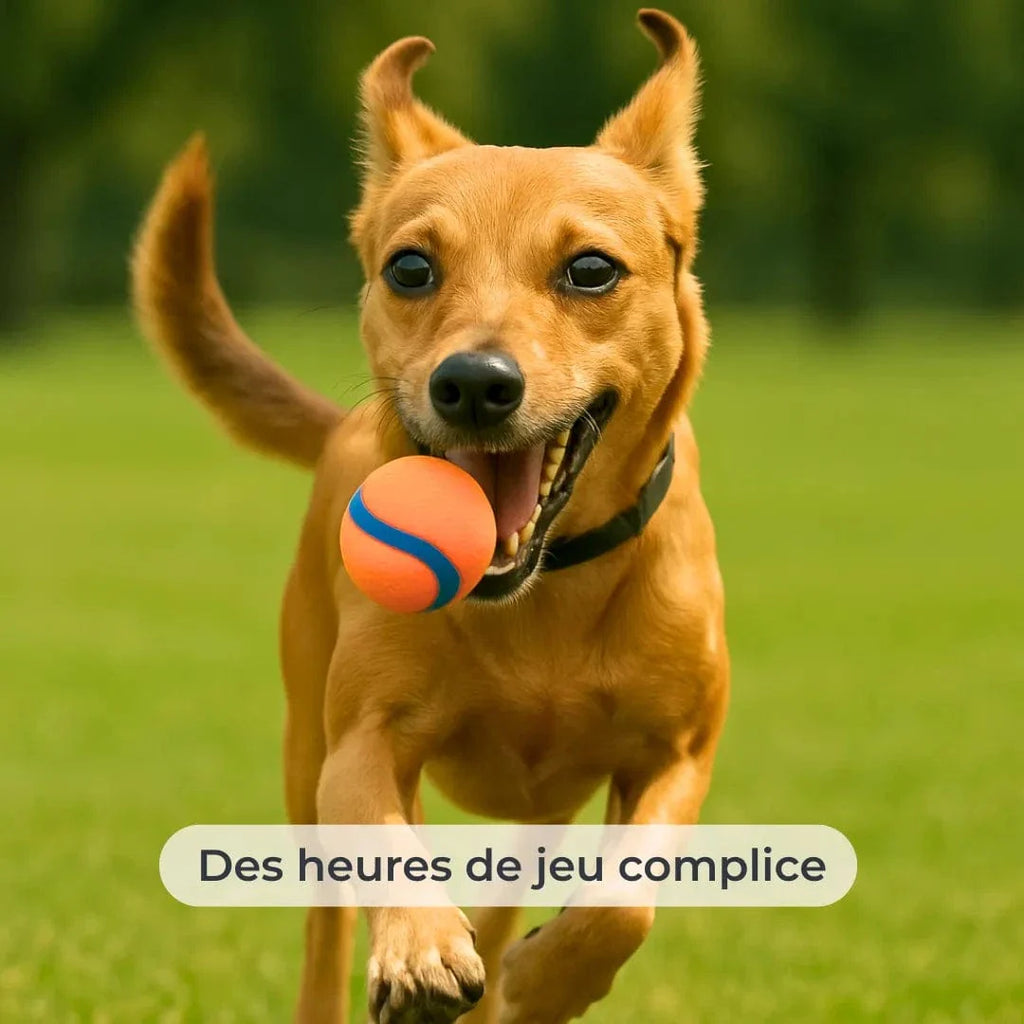 Balle en caoutchouc souple pour chien moyen - Plaisir de jeu
