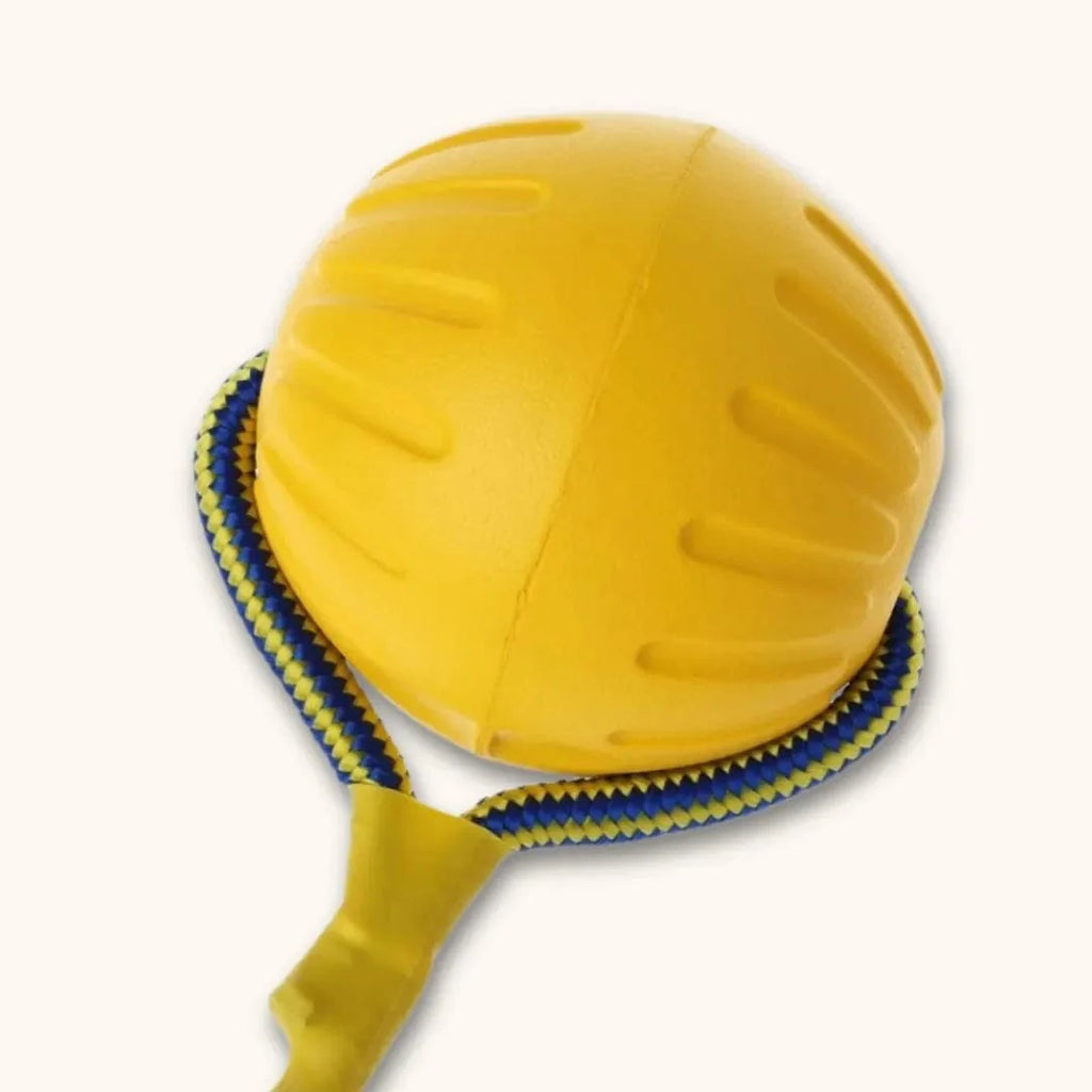 Balle pour chien flottante – La Sainte Balle