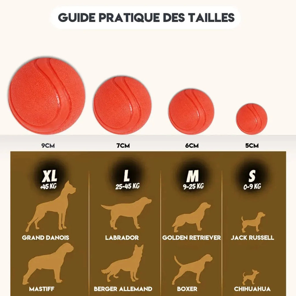Balle Rebondissante pour Chien - JumpyBall : l’Essentiel du Jeu