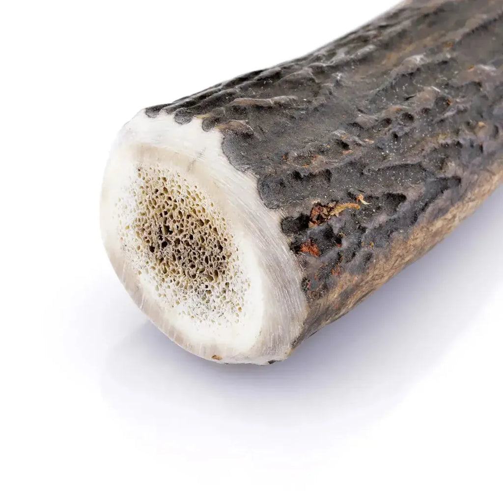 Bois de cerf entier : Mastication naturelle pour mâchoire puissante