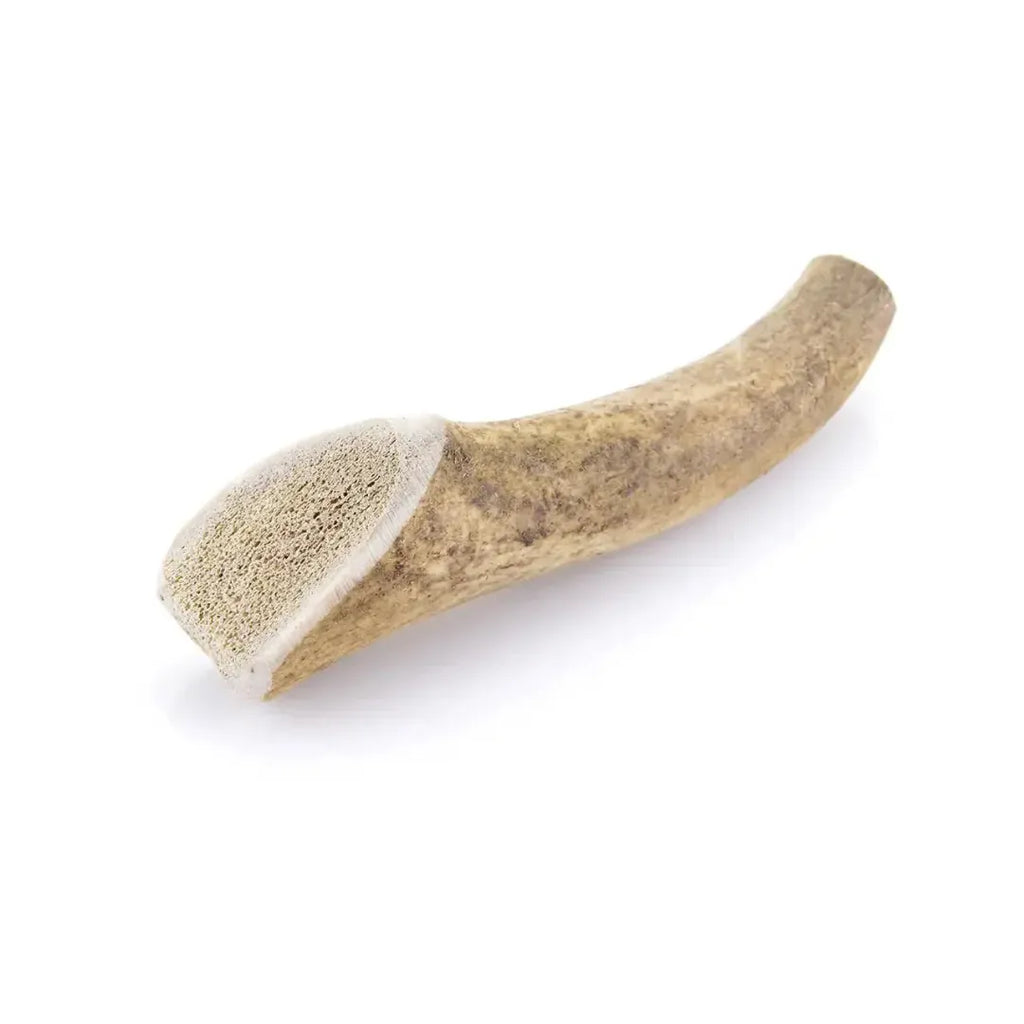 Bois de cerf entier : Mastication naturelle pour mâchoire puissante