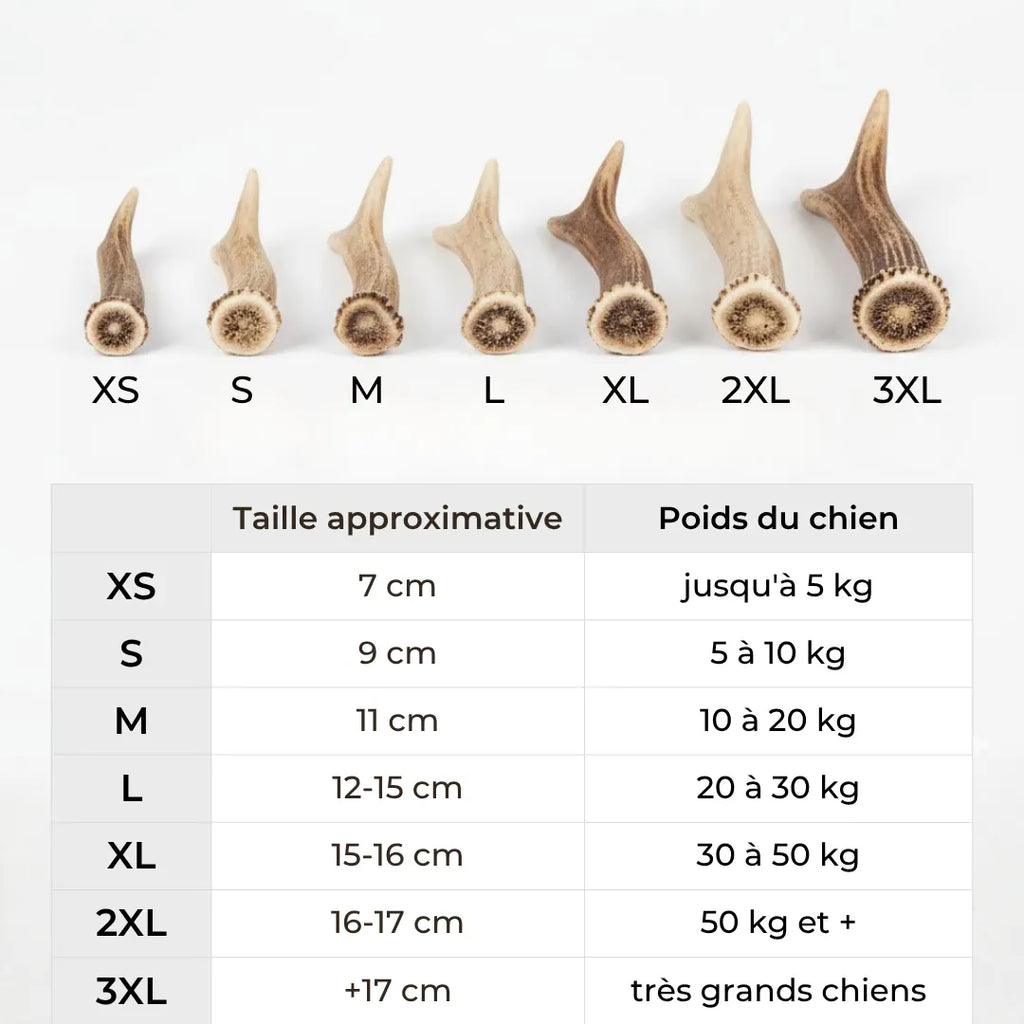 Bois de cerf entier : Mastication naturelle pour mâchoire puissante