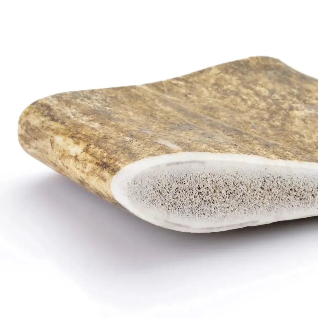 Bois de daim : mastication saine pour chiens sensibles