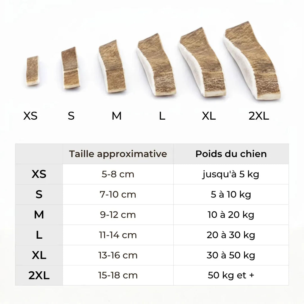 Bois de daim : mastication saine pour chiens sensibles