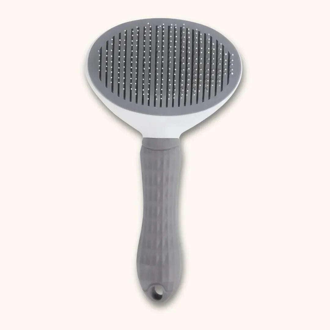 Brosse pour chien à poils longs - Démêlage doux pour un pelage sain
