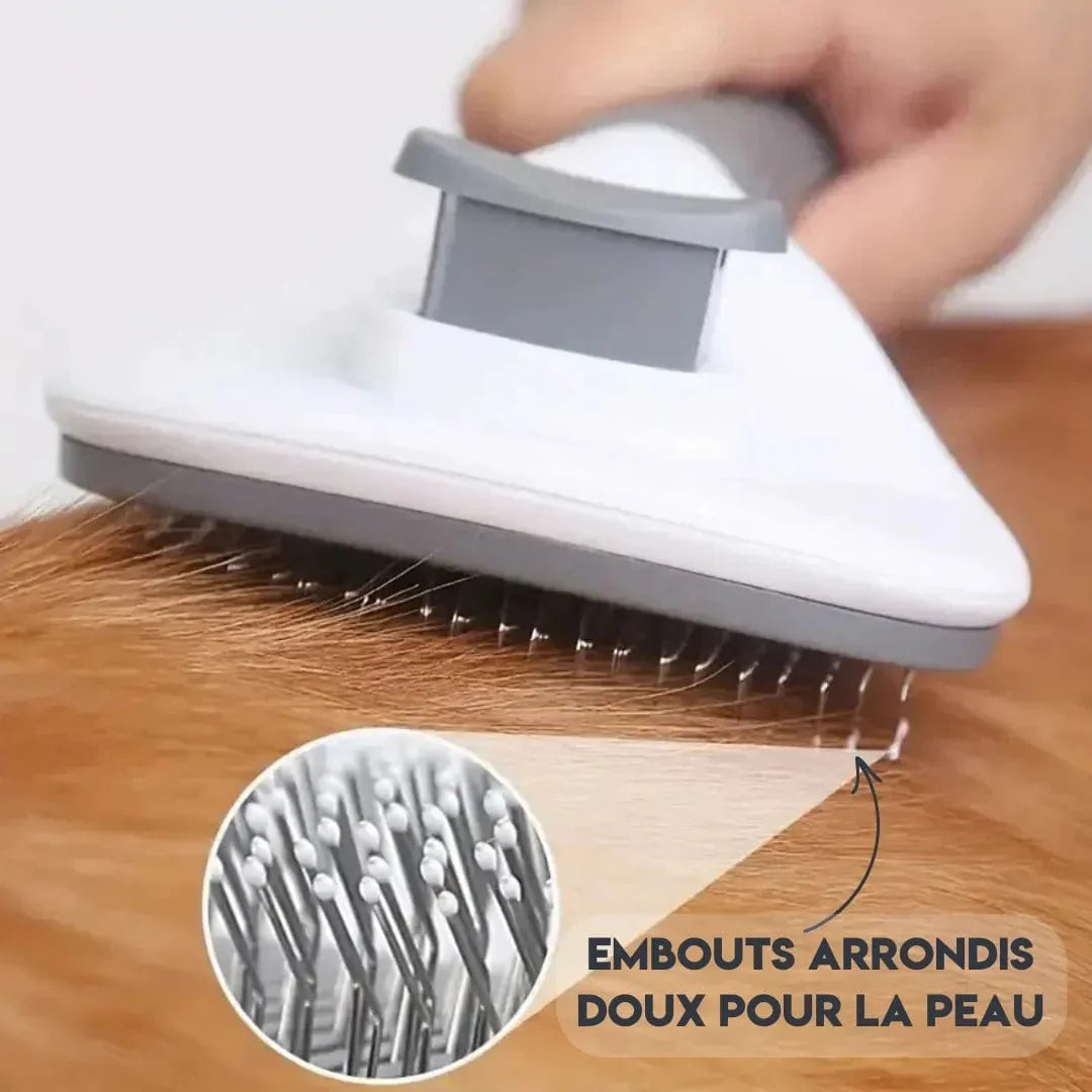 Brosse pour chien à poils longs - Démêlage doux pour un pelage sain