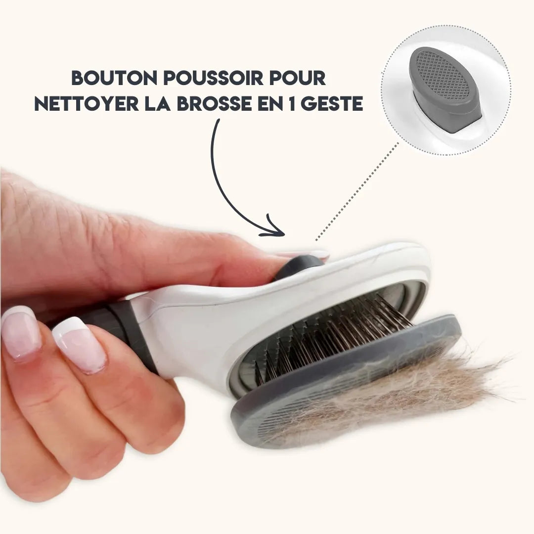 Brosse pour chien à poils longs - Démêlage doux pour un pelage sain
