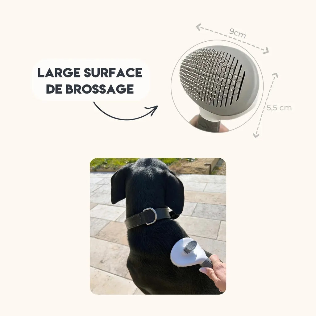Brosse pour chien à poils longs - Démêlage doux pour un pelage sain
