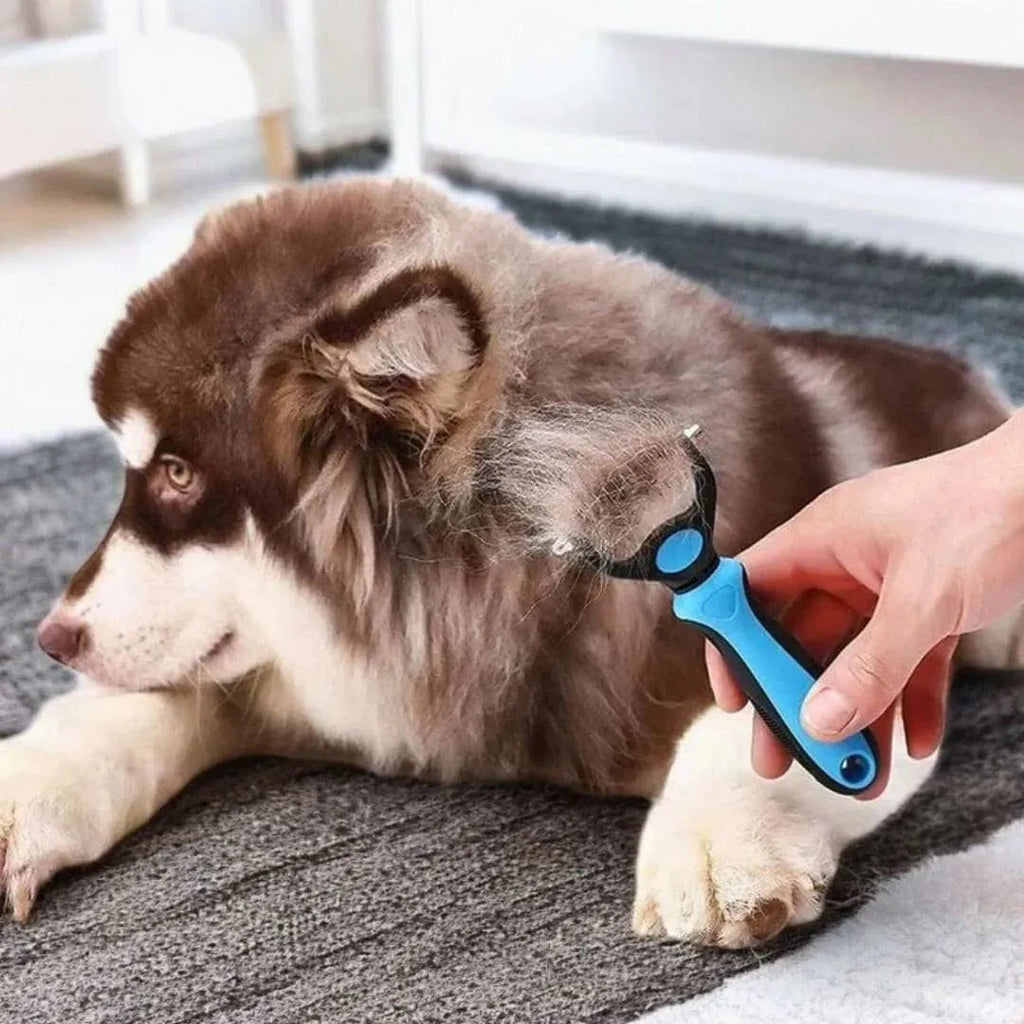 Brosse étrille pour chien – Démêle et enlève les nœuds