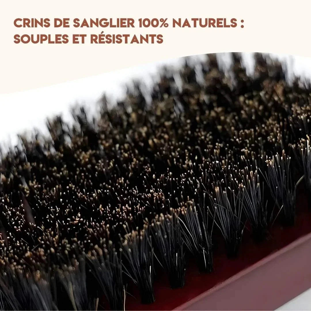Brosse pour chien à poil court – Soin naturel du pelage