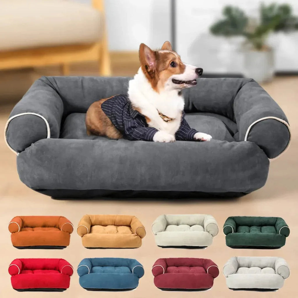 Canapé pour Chien - CoconSofa : Moelleux et Design