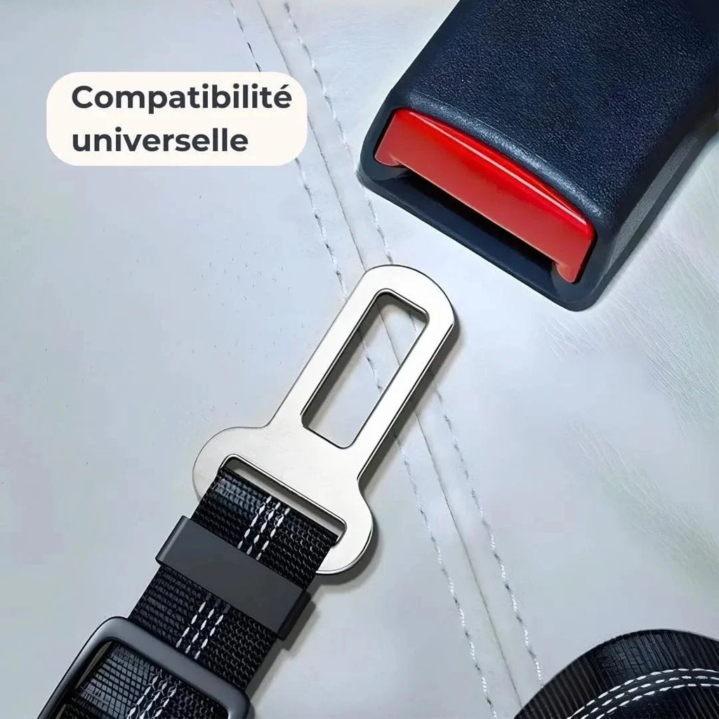 Ceinture de sécurité pour chien - voyagez sans risques