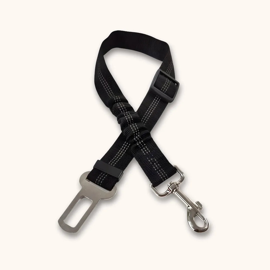 Ceinture de sécurité pour chien - voyagez sans risques