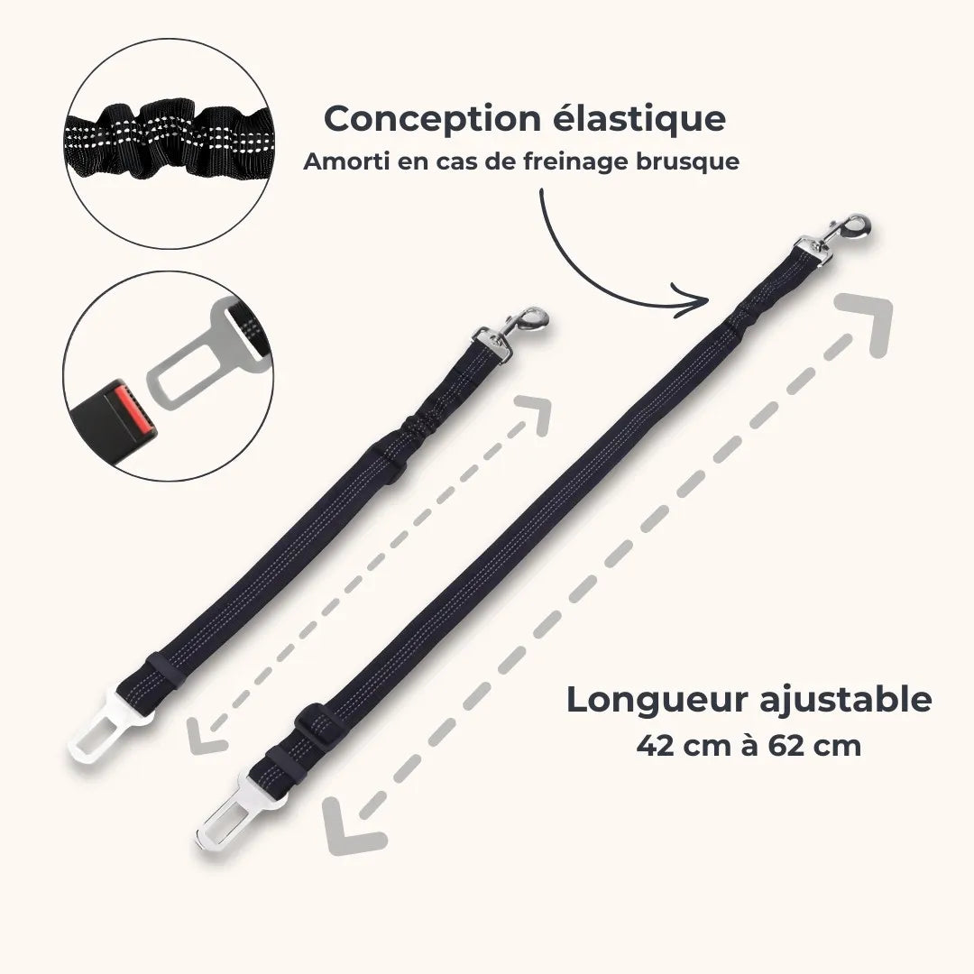 Ceinture de sécurité pour chien - voyagez sans risques