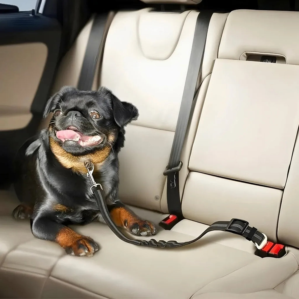 Ceinture de sécurité pour chien - voyagez sans risques