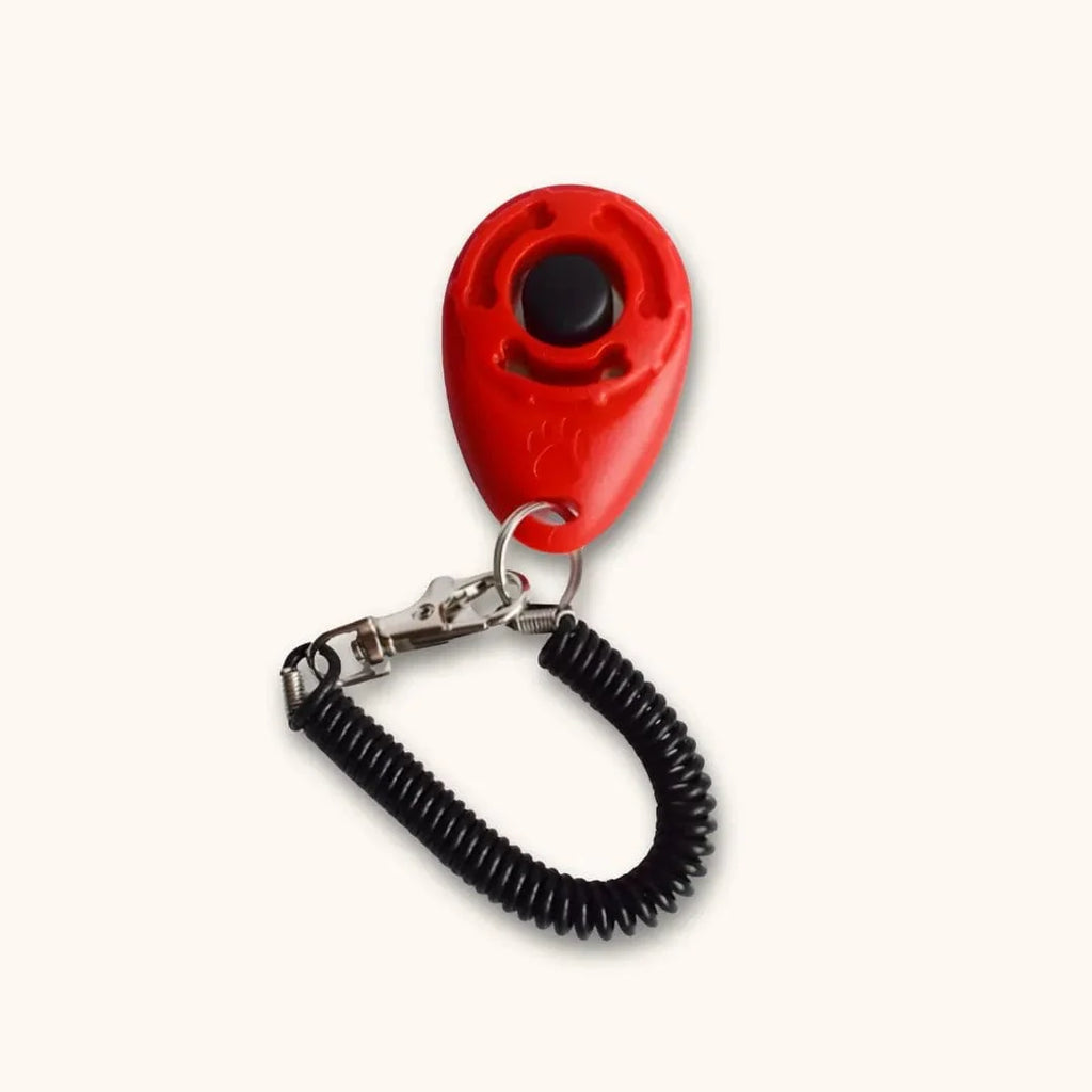 Clicker d'éducation pour chien