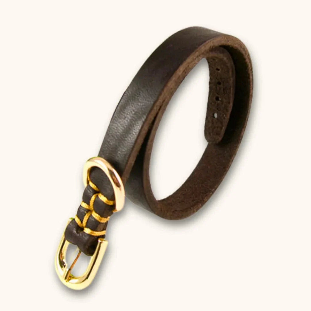 Collier pour chiot dès 2 mois – PuppyFit