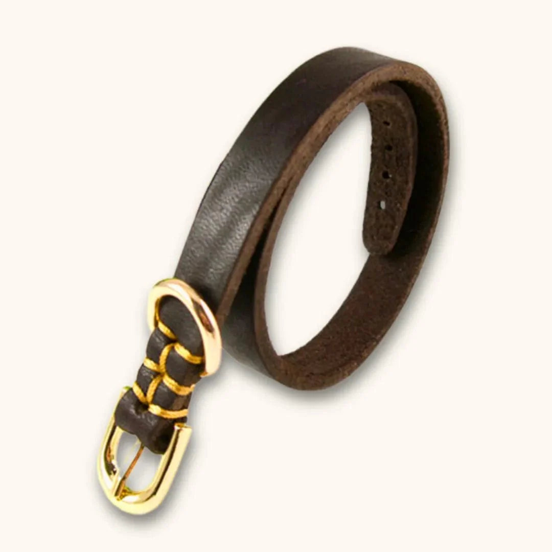 Collier pour chiot dès 2 mois – PuppyFit