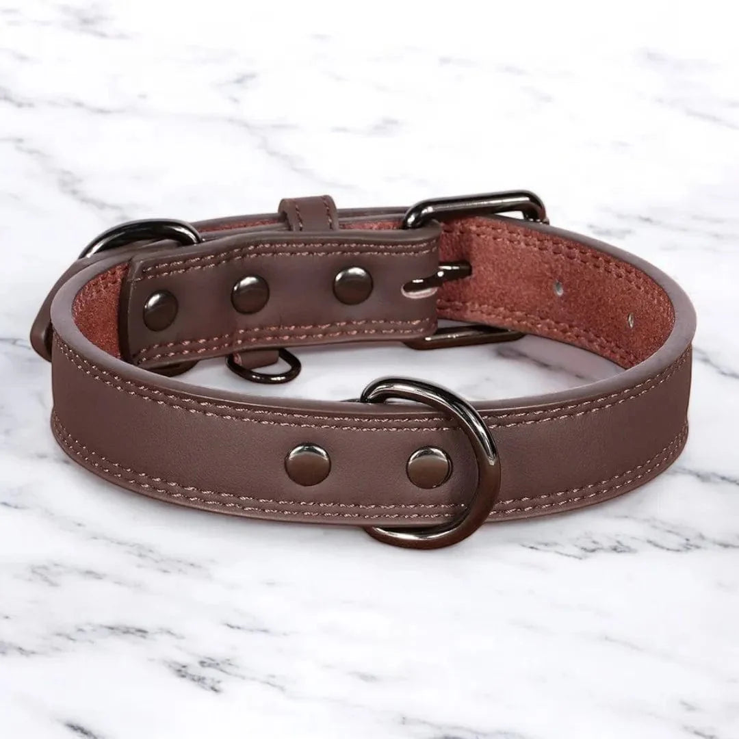 Collier Cuir Chien - PrestigeK9 : L’Élégance Durable Brun Sépia / S