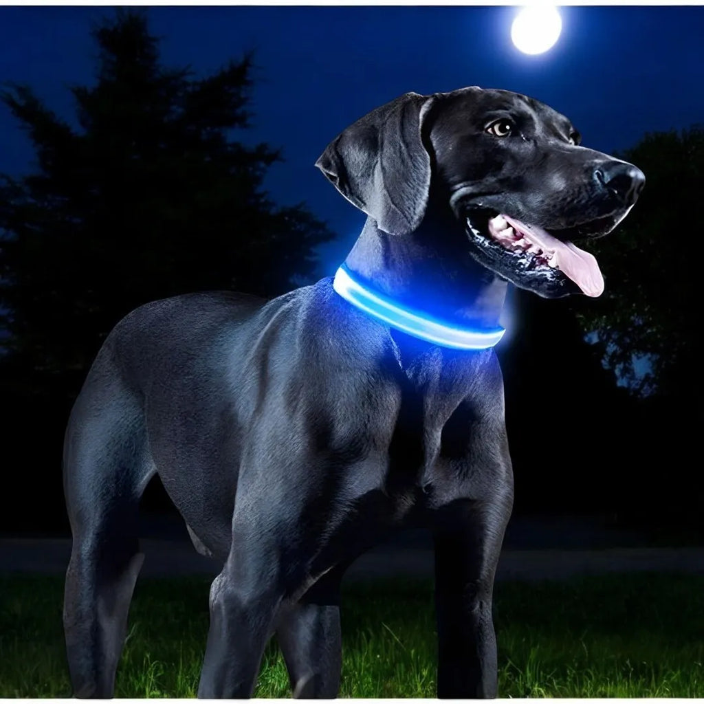 Collier Lumineux - LumiSafe : Assurez sa Sécurité la Nuit