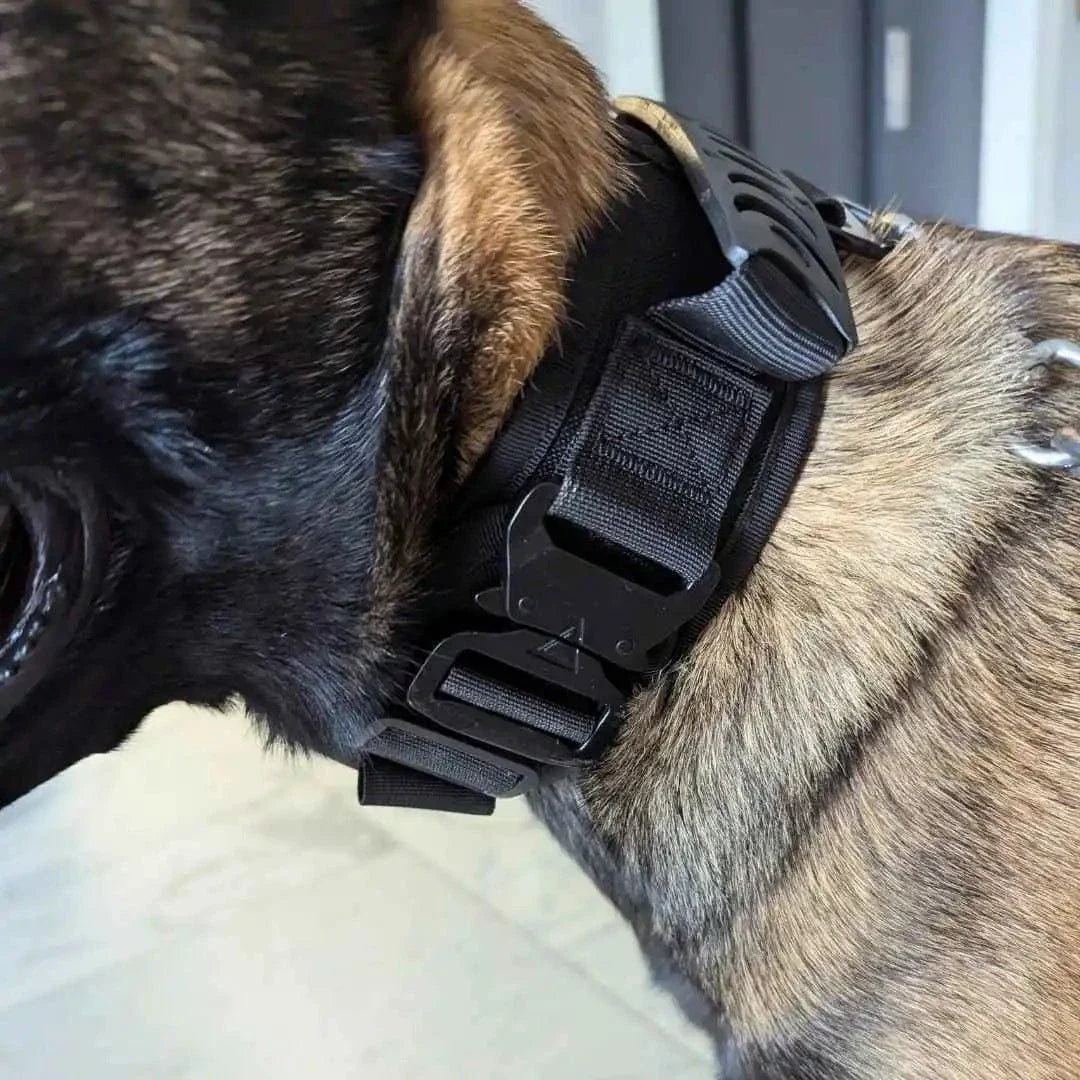 Collier chien militaire - TactiK9 v2 : Réglable et ultra-résistant