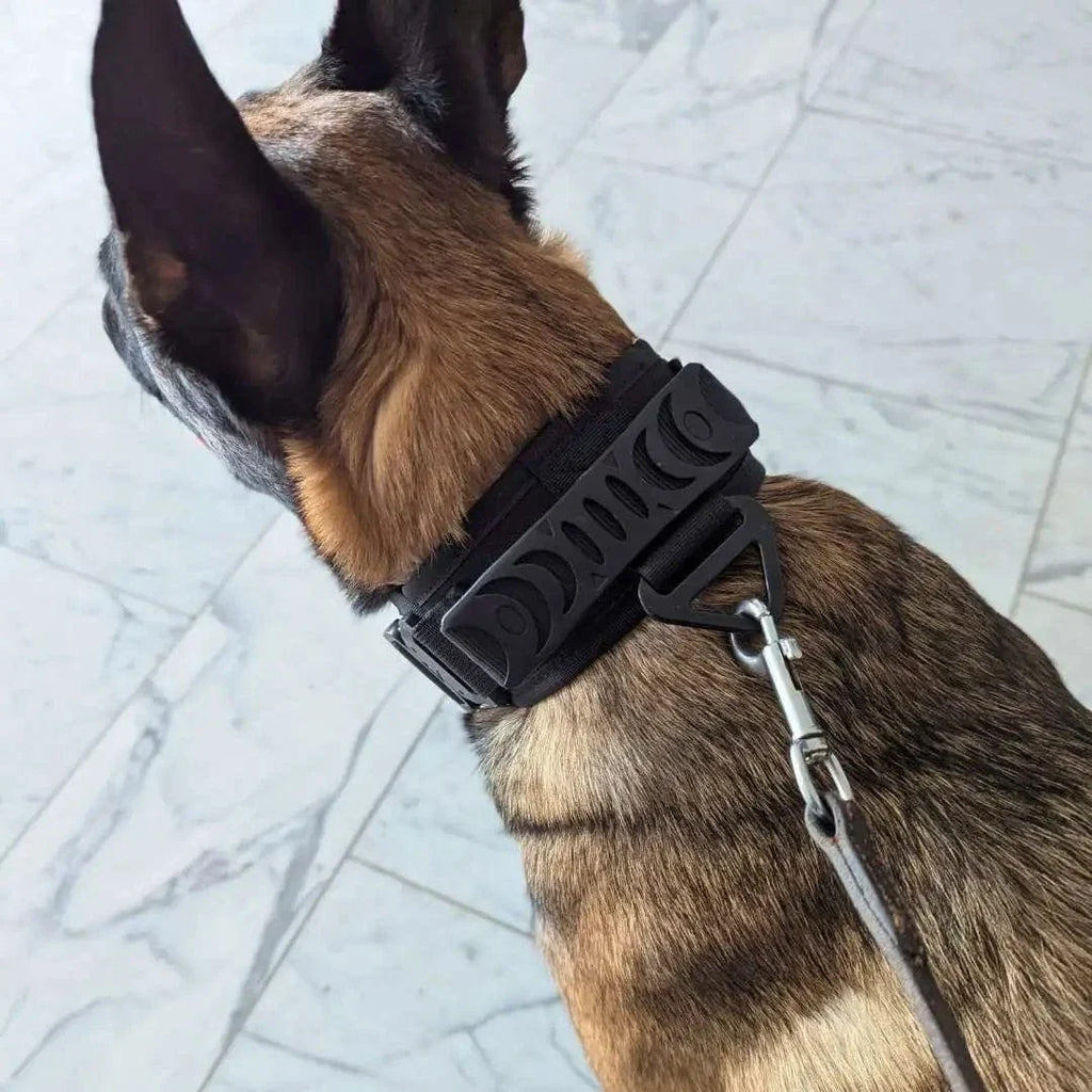 Collier chien militaire - TactiK9 v2 : Réglable et ultra-résistant