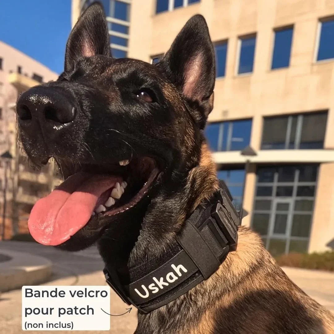 Collier chien militaire - TactiK9 v2 : Réglable et ultra-résistant
