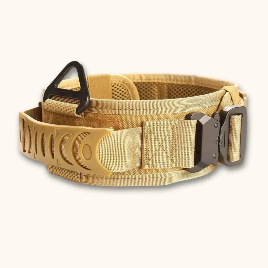 Collier militaire pour chien innovant TactiK9 v2 Khaki