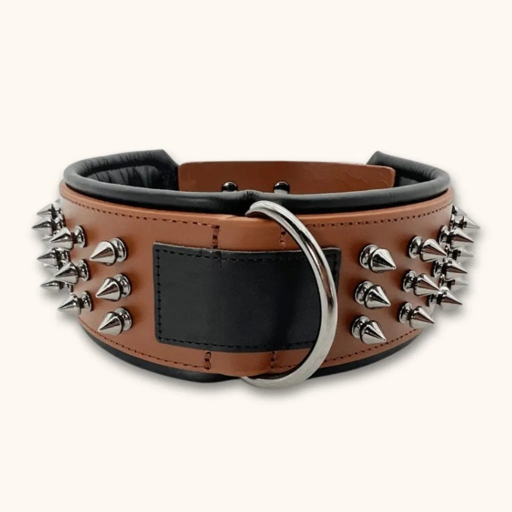Collier pour Chien avec Rivets Anti-Morsure - DuraCuir