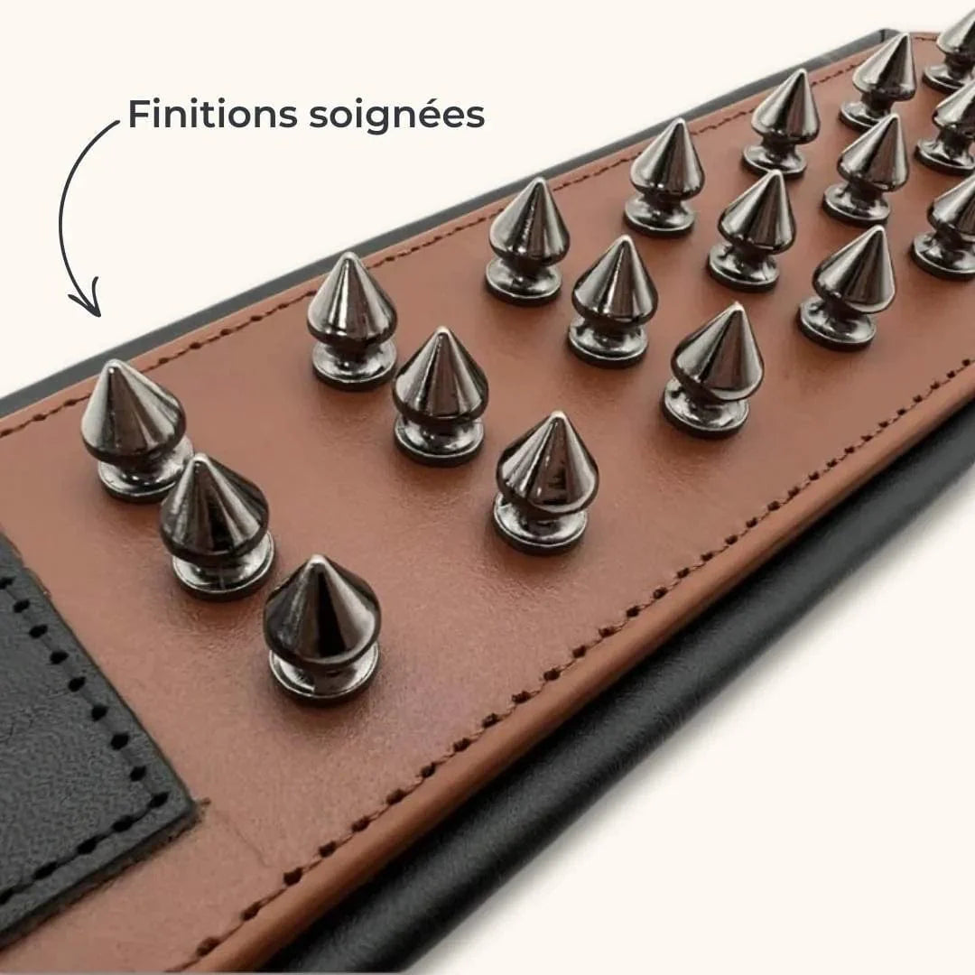 Collier Anti Morsure - DuraCuir : Rustique et Sophistiqué