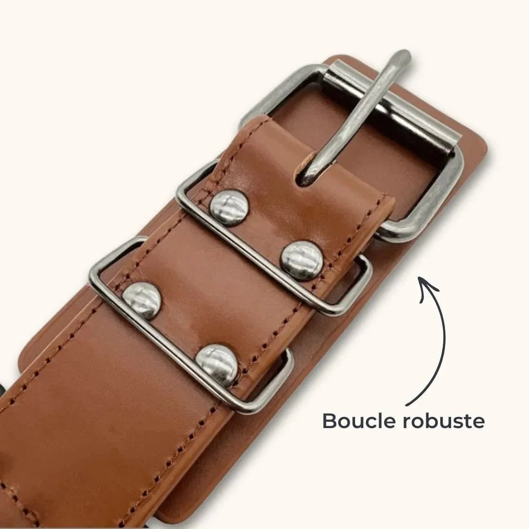 Collier Anti Morsure - DuraCuir : Rustique et Sophistiqué