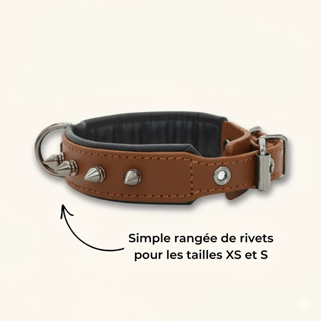 Collier Anti Morsure - DuraCuir : Rustique et Sophistiqué