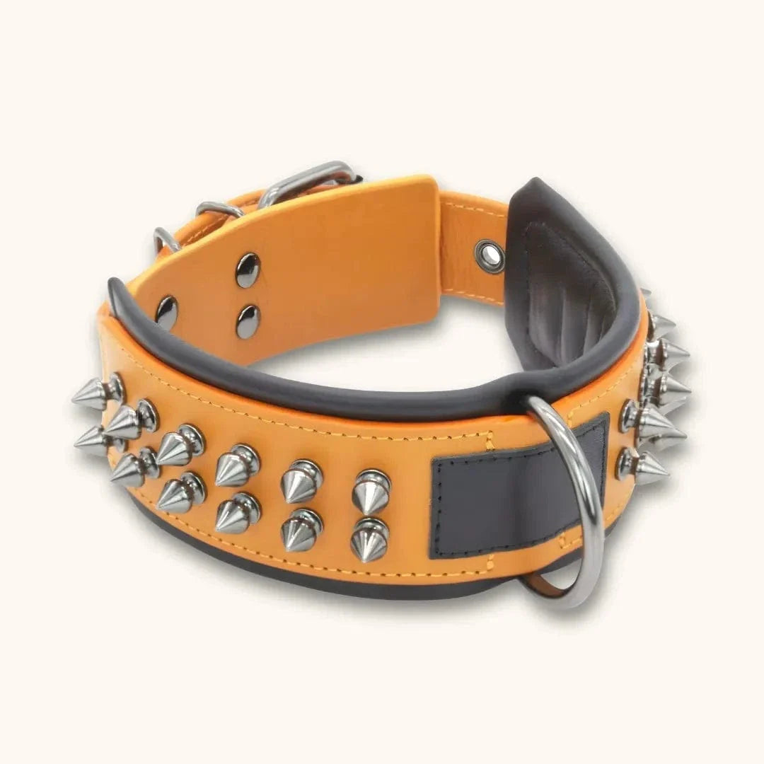Collier pour Chien avec Rivets Anti-Morsure - DuraCuir L / Orange