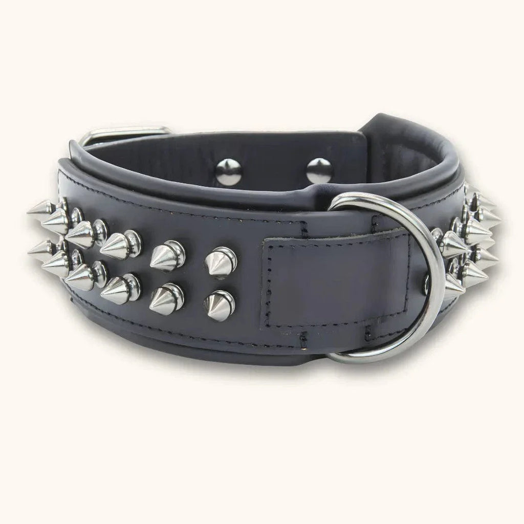 Collier pour Chien avec Rivets Anti-Morsure - DuraCuir XS / Noir