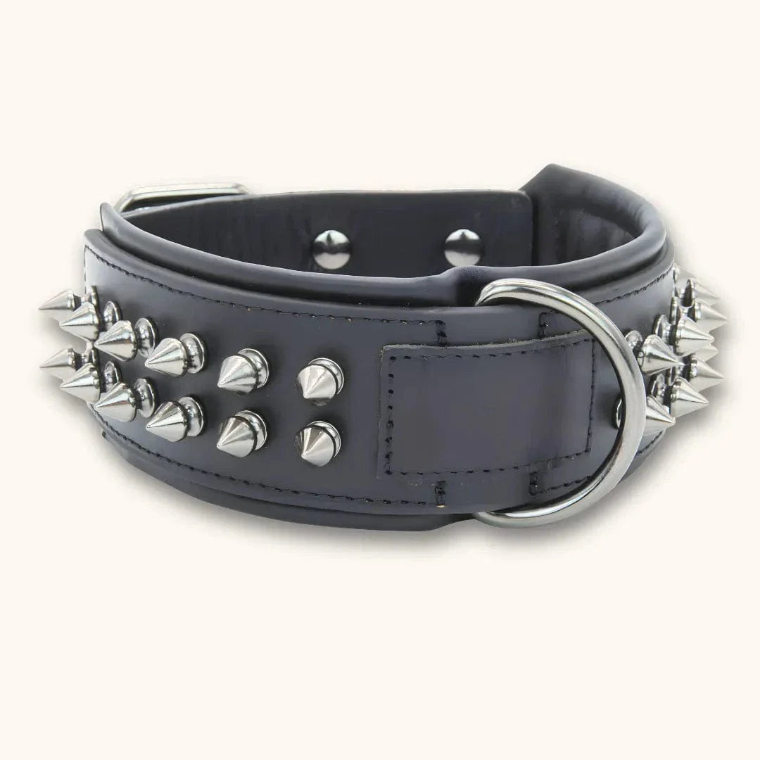 Collier pour Chien avec Rivets Anti-Morsure - DuraCuir XS / Noir