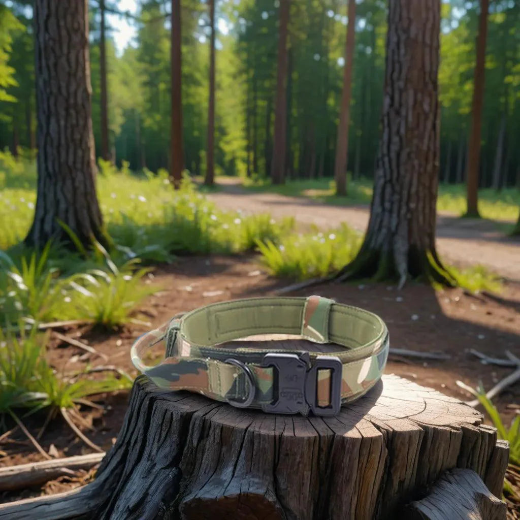 Collier Tactique pour Chien - TactiK9 Camouflage Obsidienne / M