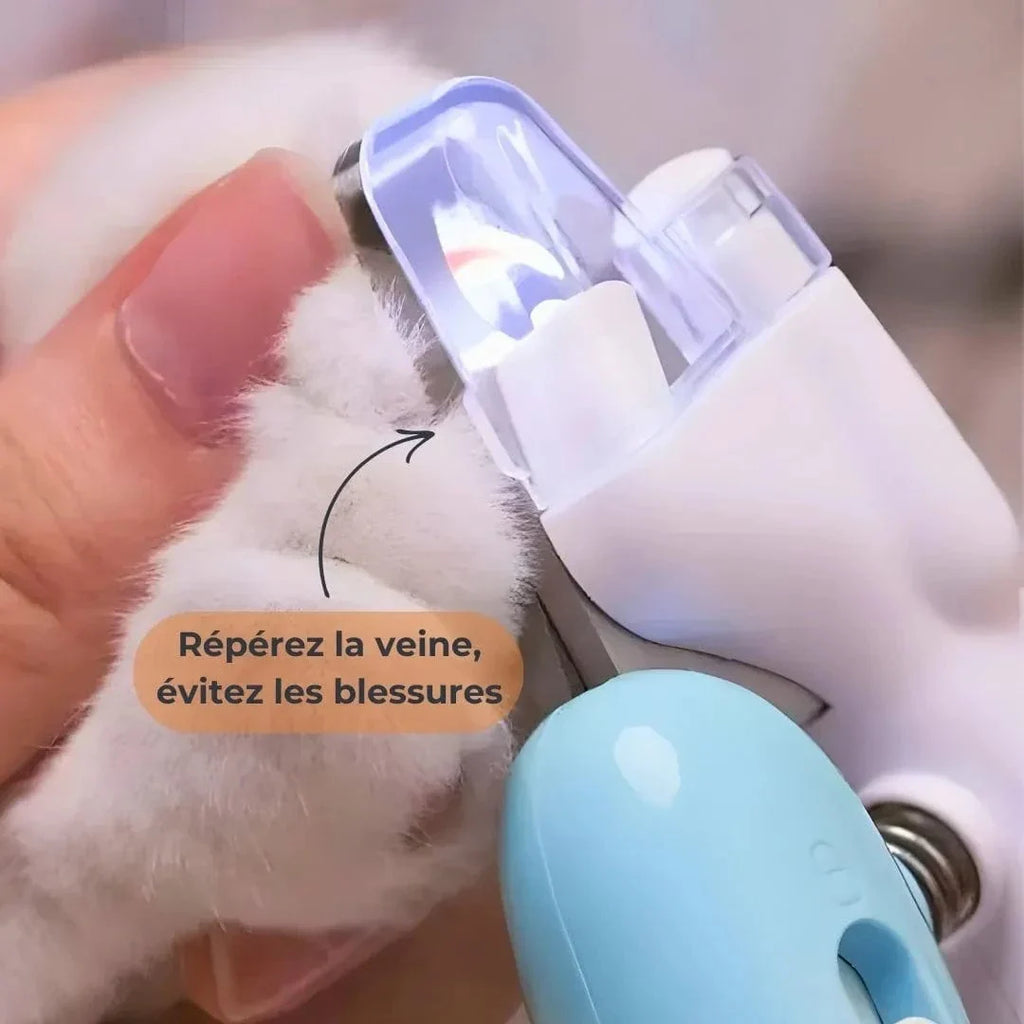 Coupe ongle pour chiens avec LED