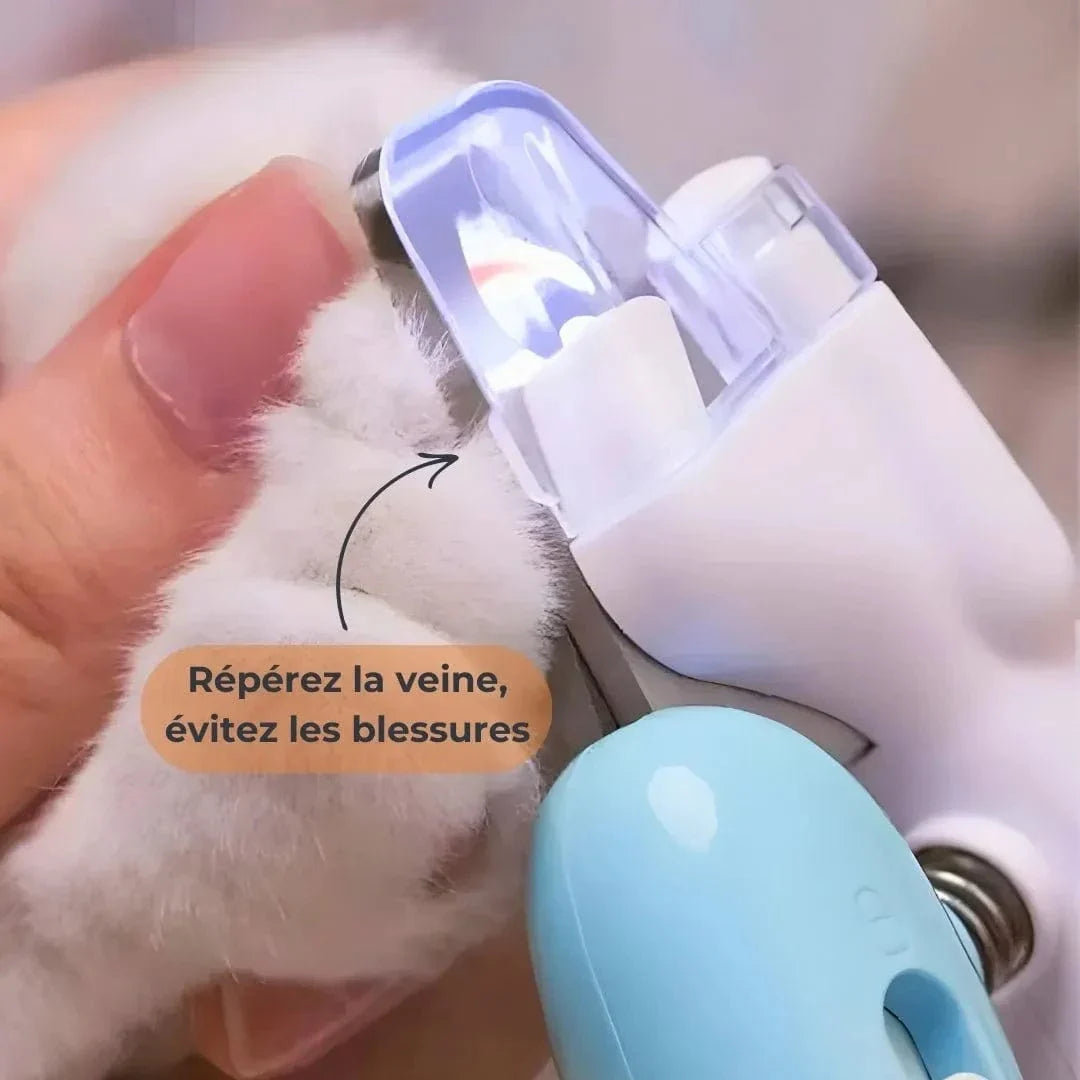 Coupe ongle pour chiens avec LED