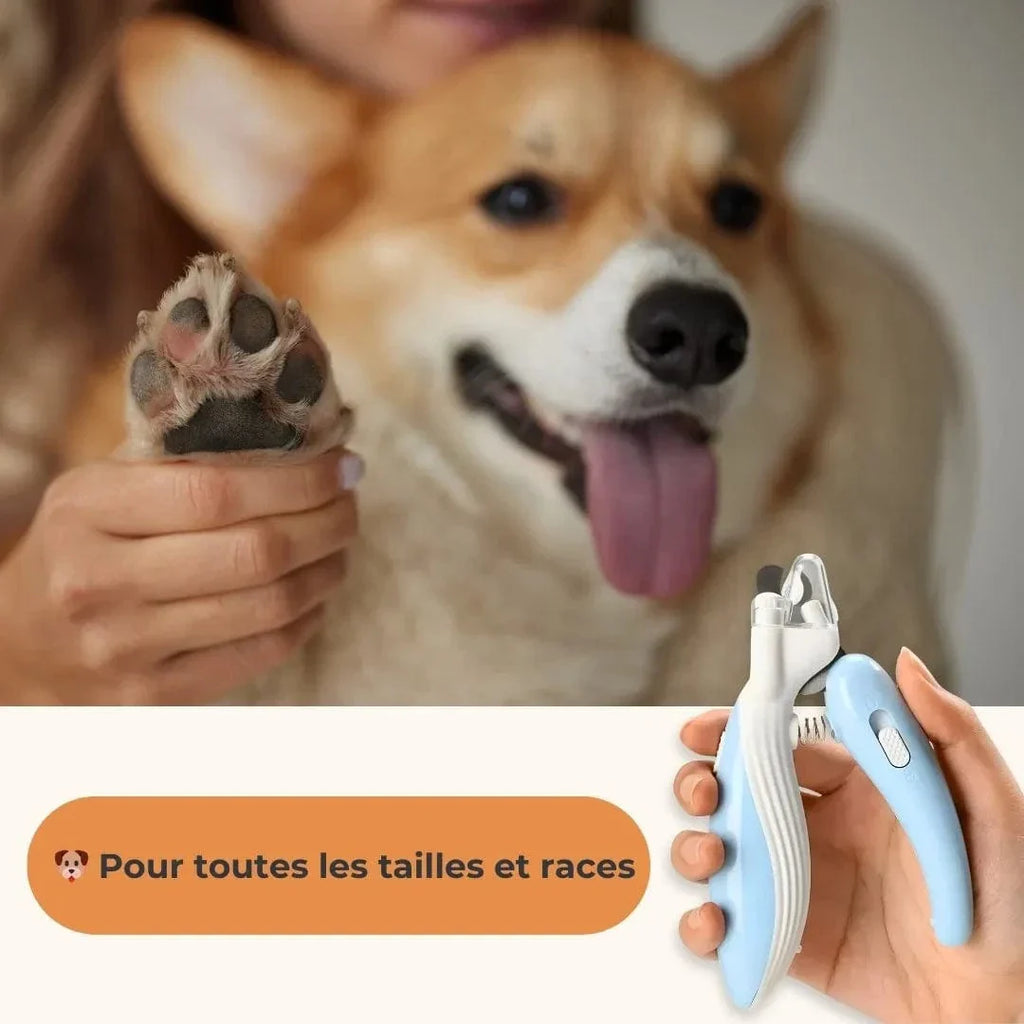 Coupe ongle pour chiens avec LED
