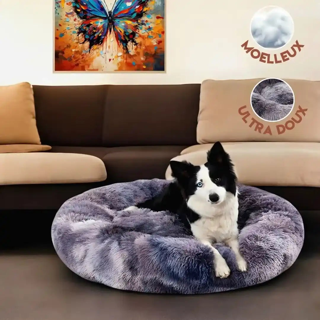 Coussin Apaisant pour Chien - CoconRelax : Un Confort Inégalé