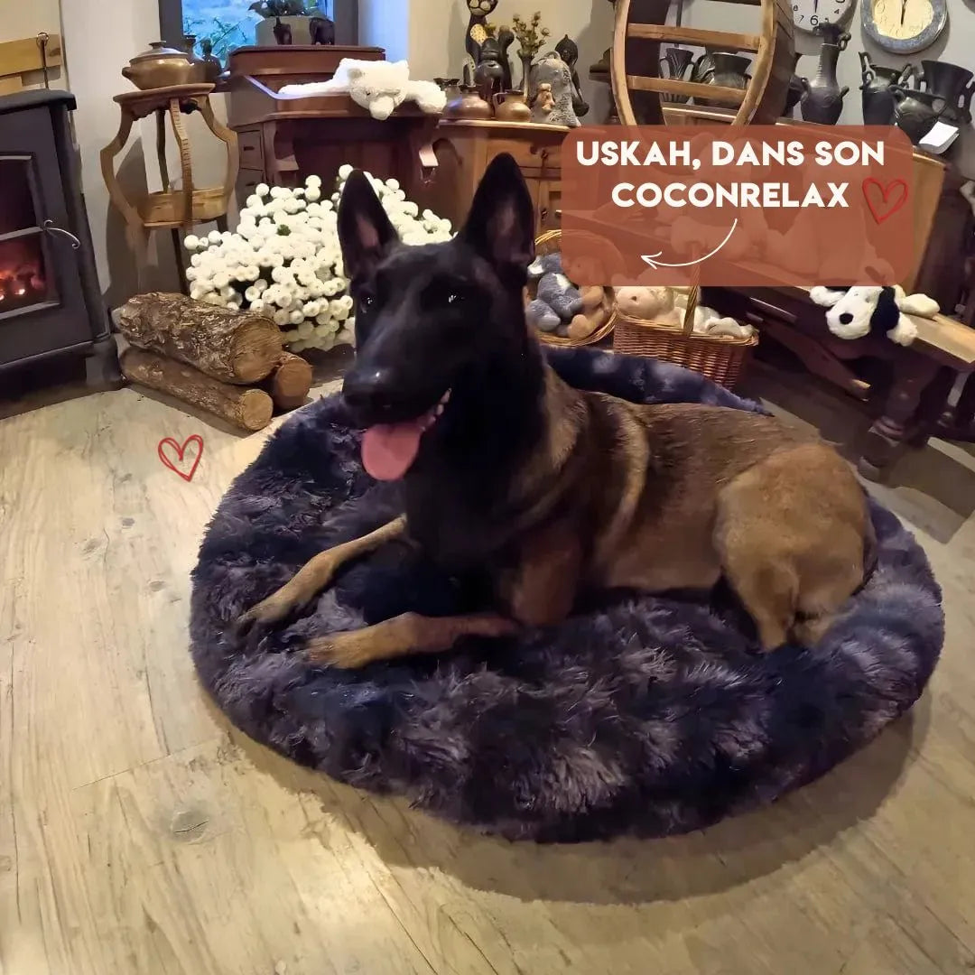 Coussin Apaisant pour Chien - CoconRelax : Un Confort Inégalé