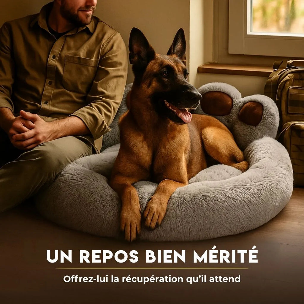Coussin douillet pour chien - CosyPatte : Confort enveloppant