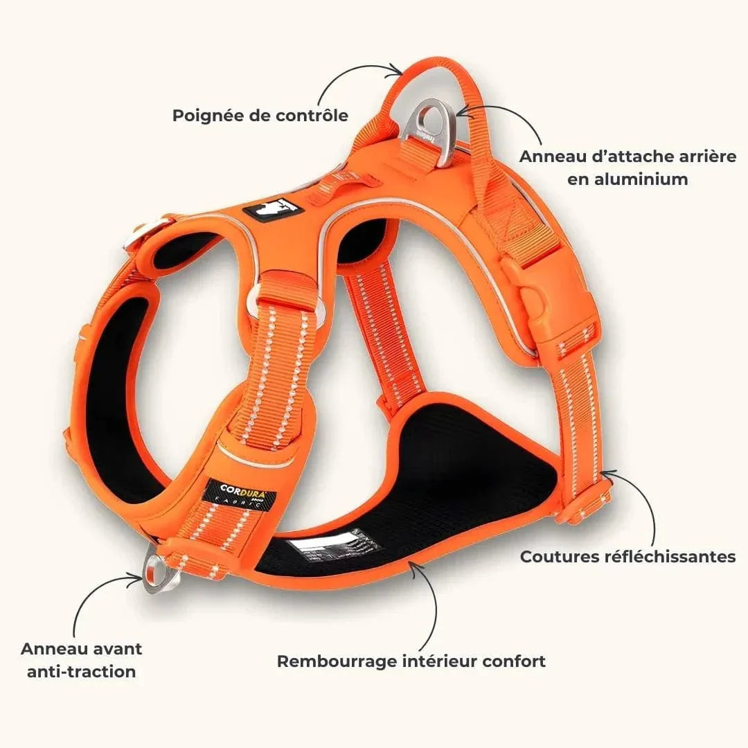 Harnais anti-traction en Y - Moderne & ergonomique