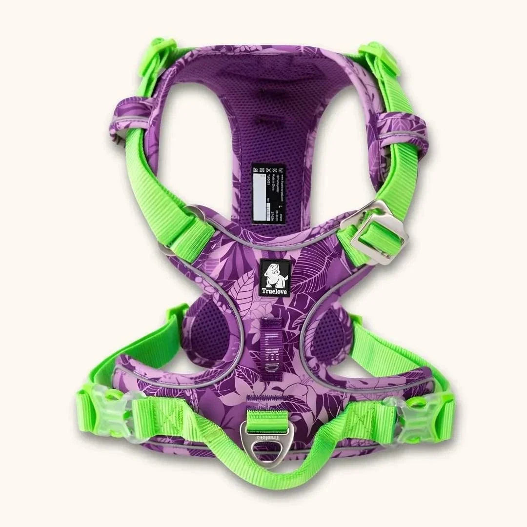 Harnais anti-traction innovant,  spécial chien qui tire Camouflage violet / XS