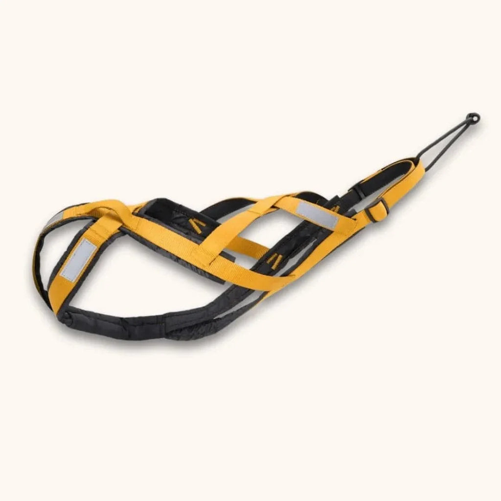 Harnais de traction chien Atelier Canin - type "X-back" Jaune / S