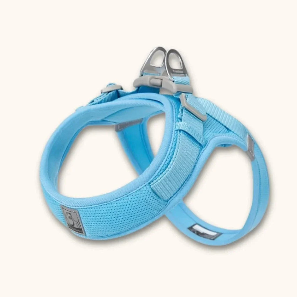 Harnais petit chien – léger, réglable et facile à enfiler