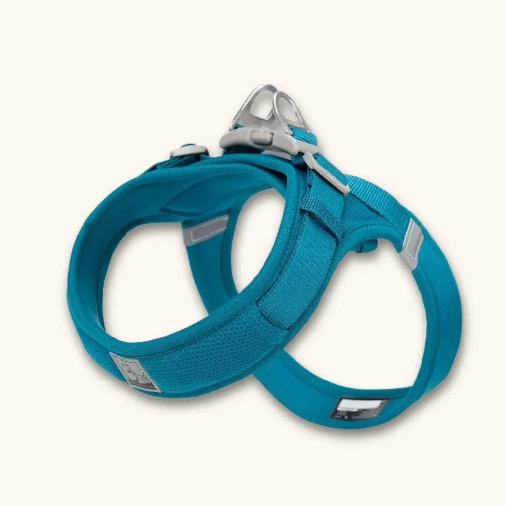 Harnais petit chien en T – chiot dès 2 mois et petites races Bleu turquoise / XXS