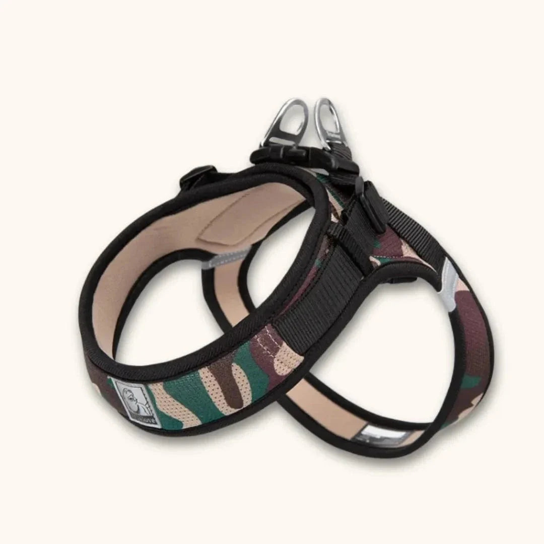 Harnais petit chien en T – chiot dès 2 mois et petites races Camouflage / XXS