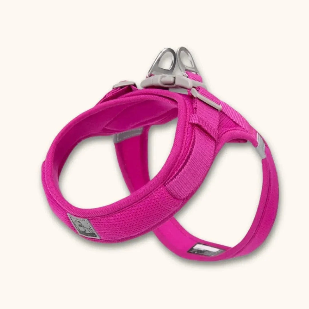 Harnais petit chien en T – chiot dès 2 mois et petites races Fuchsia / XXS